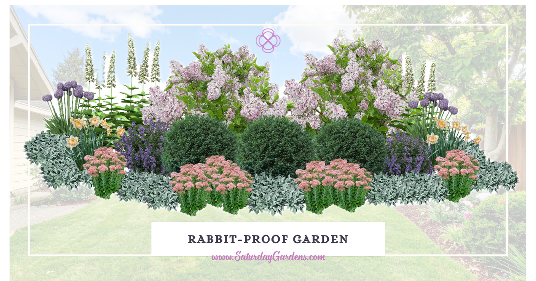 Ban the Bunnies: 8 Plants that Rabbits Won't Eat