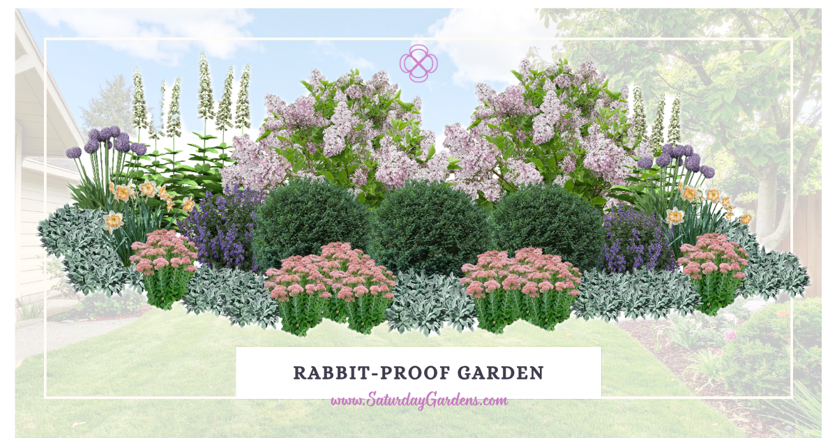 Ban the Bunnies: 8 Plants that Rabbits Won't Eat