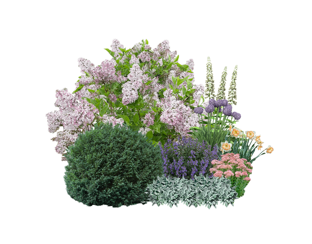 Beginner Garden Plan Collection