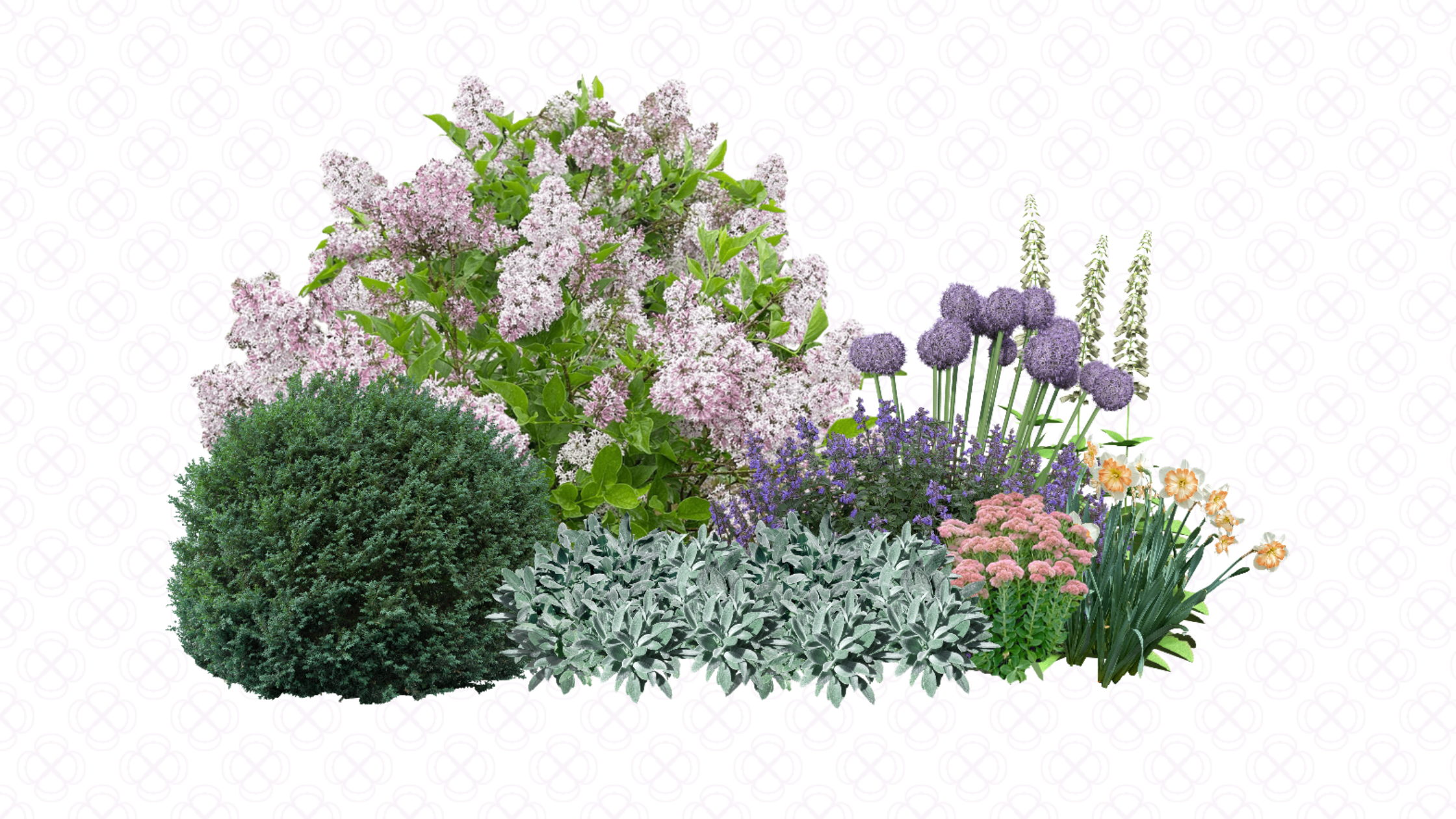 Rabbit-Proof Weekend Garden Plan